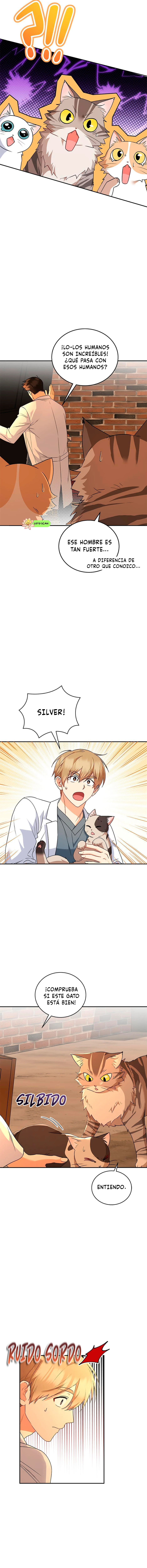 6 Veterinario Hola