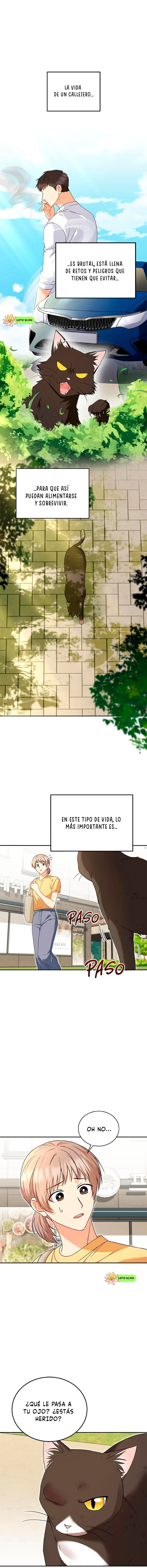 1 Veterinario Hola