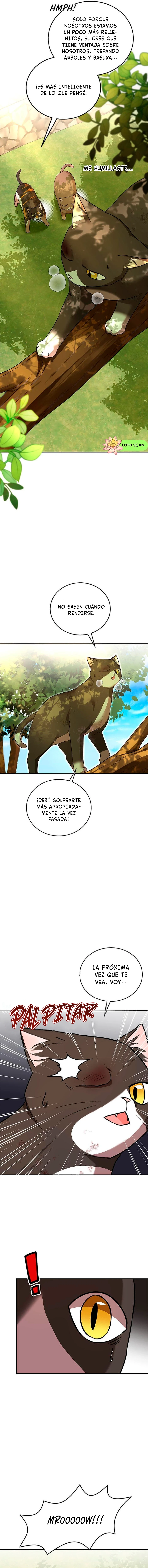 7 Veterinario Hola