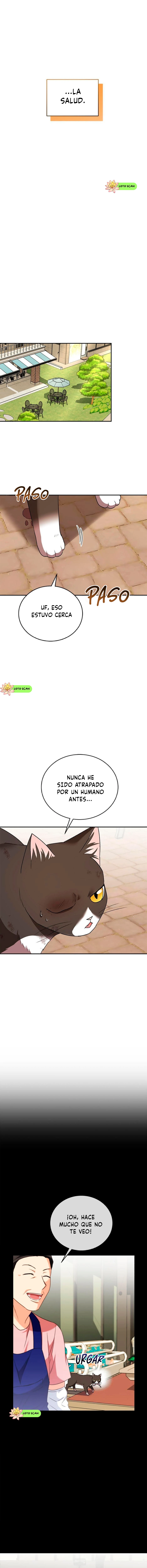 2 Veterinario Hola