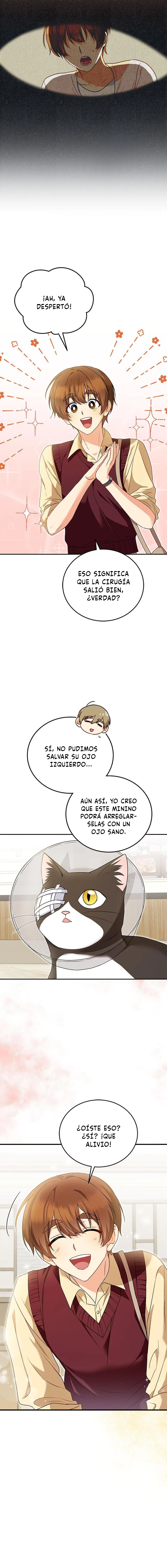 3 Veterinario Hola