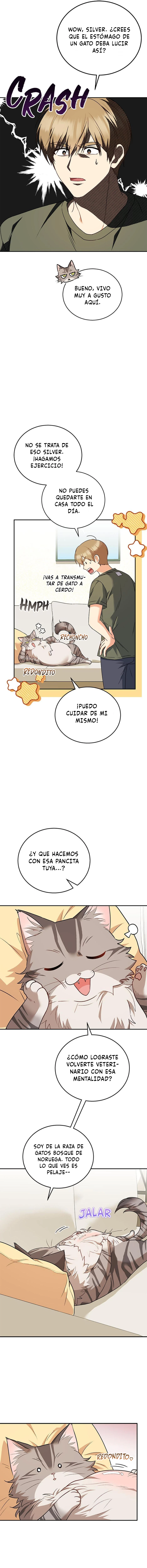 10 Veterinario Hola