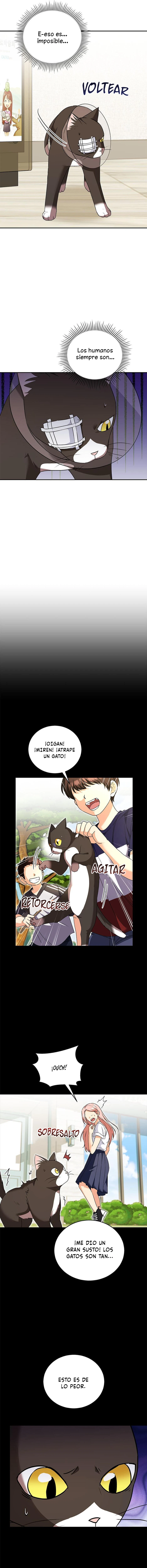 5 Veterinario Hola