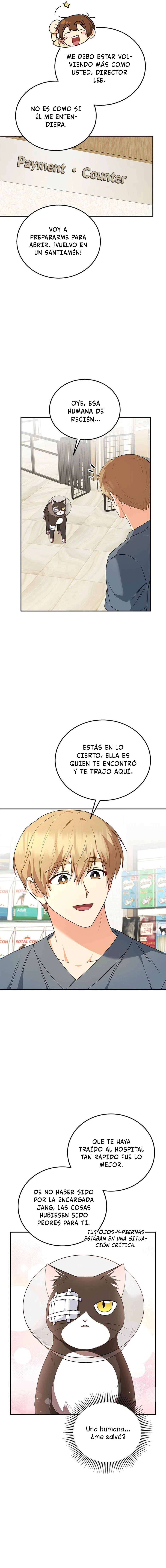 4 Veterinario Hola