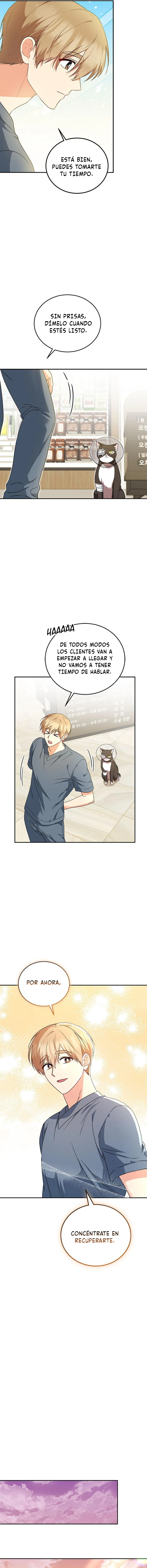 8 Veterinario Hola