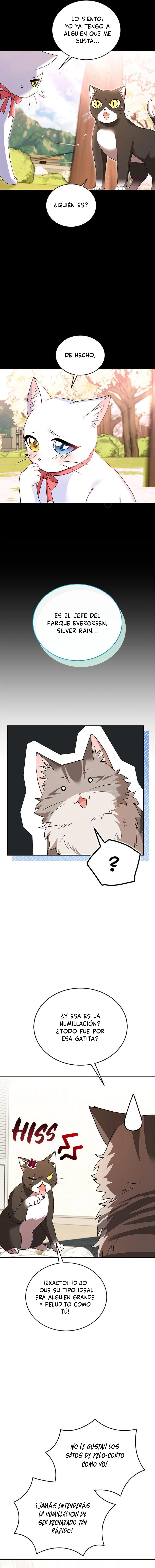 14 Veterinario Hola