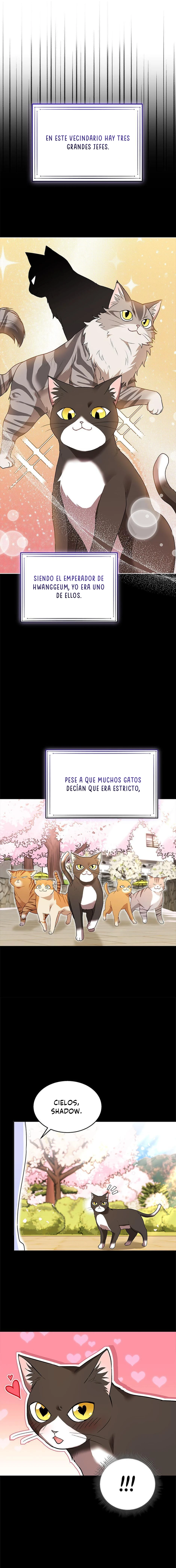 12 Veterinario Hola