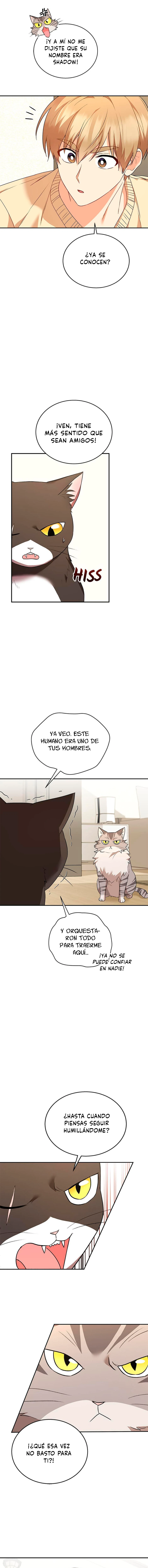 9 Veterinario Hola
