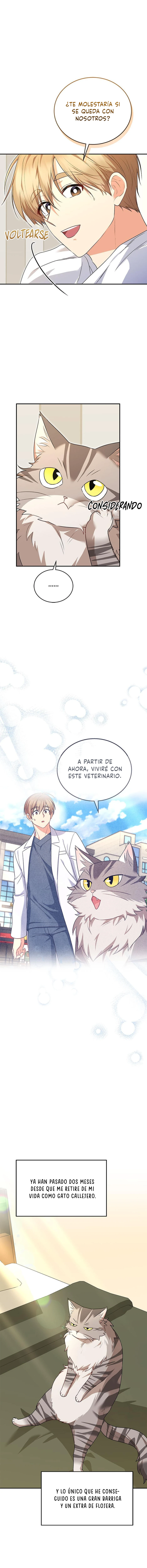 3 Veterinario Hola