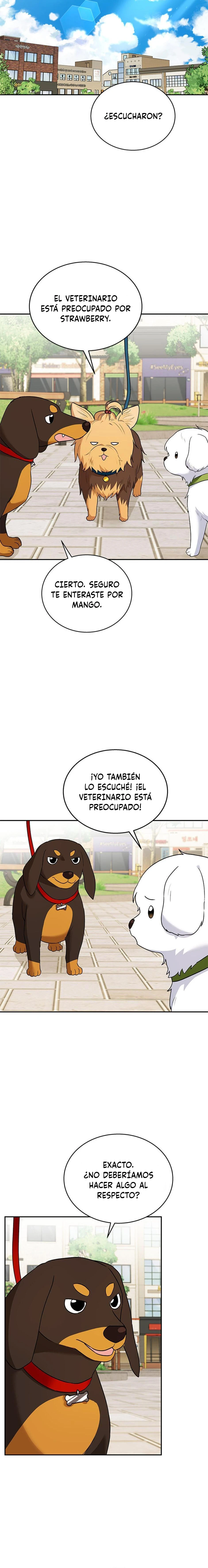 14 Veterinario Hola