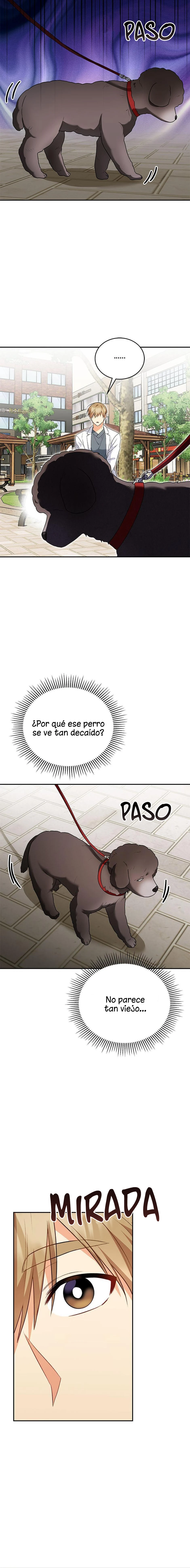 8 Veterinario Hola