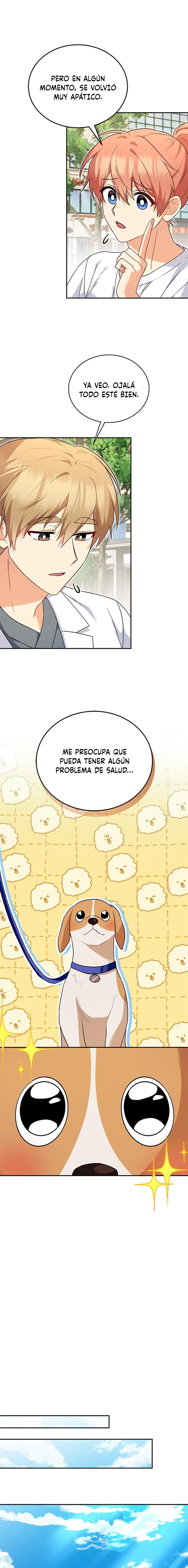 13 Veterinario Hola