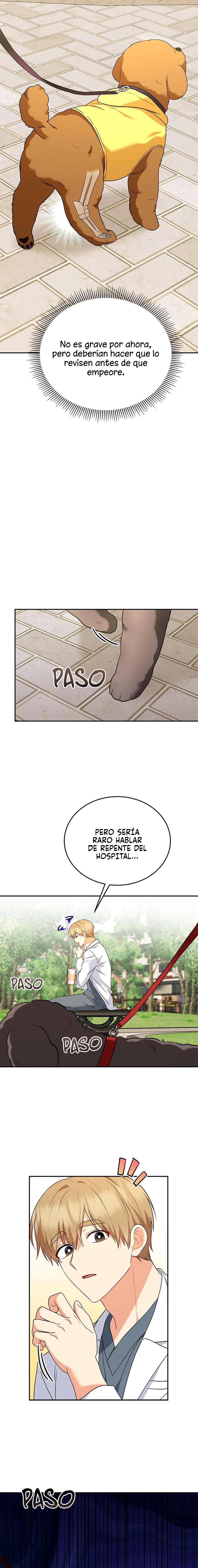7 Veterinario Hola