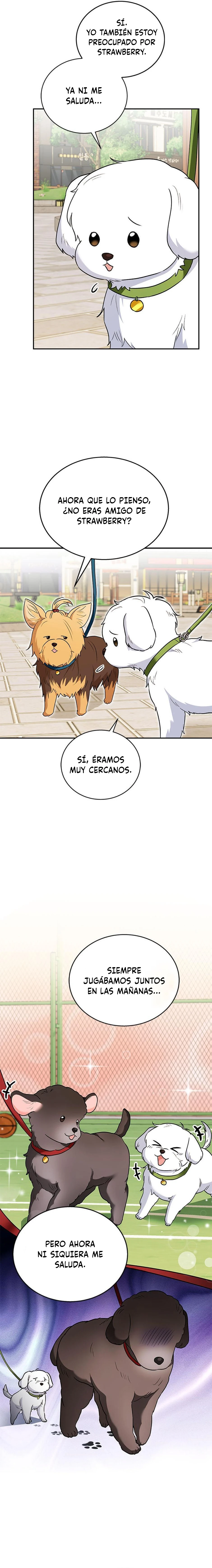 15 Veterinario Hola