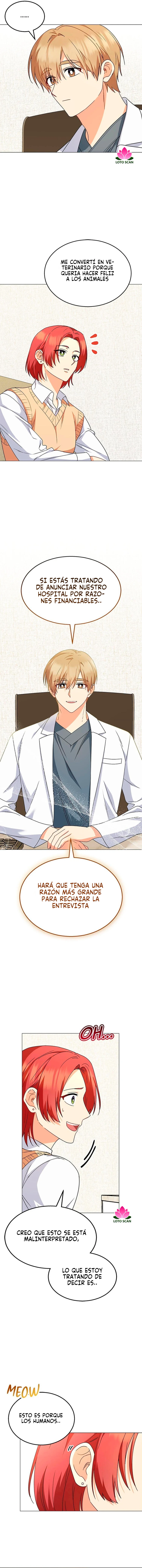 8 Veterinario Hola