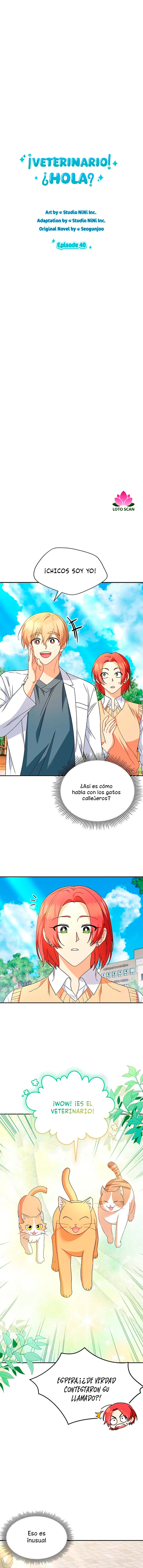 3 Veterinario Hola