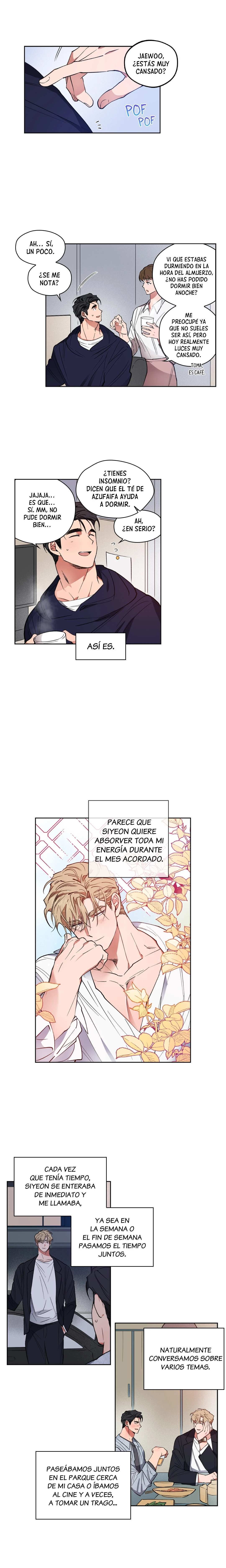 0 Estrategia Apasionada
