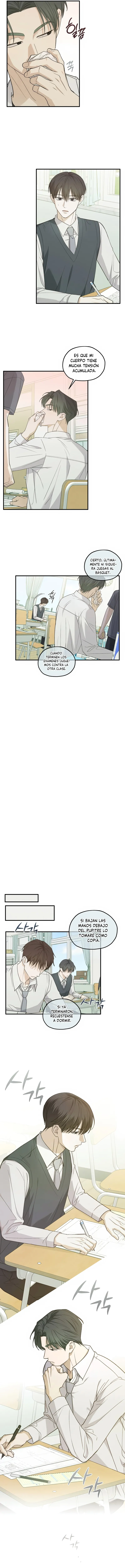 6 Área de investigación de errores