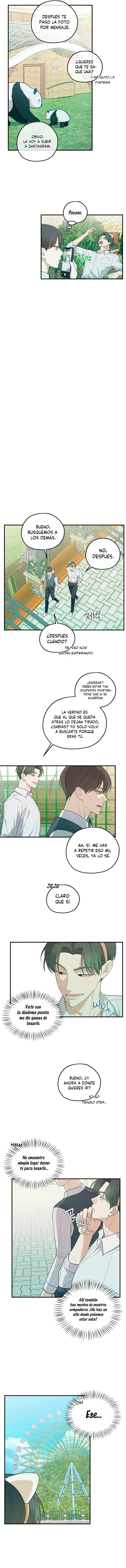 7 Área de investigación de errores