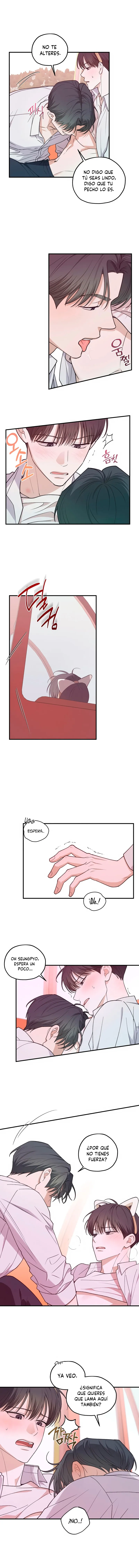 4 Área de investigación de errores