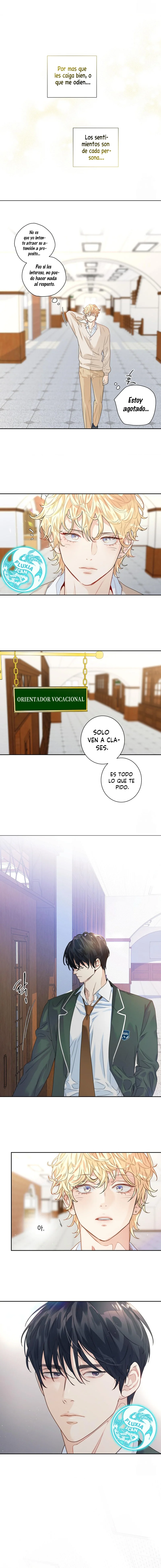 8 ¡El amor es una ilusión!  Superstar