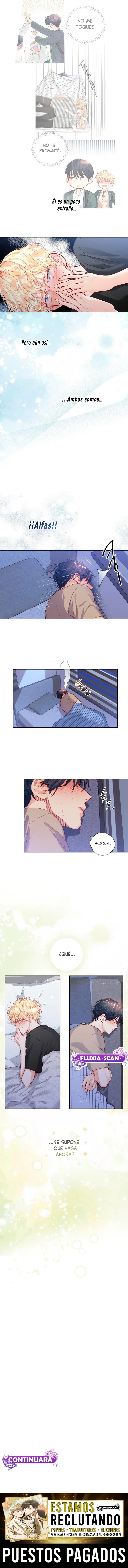 8 ¡El amor es una ilusión!  Superstar