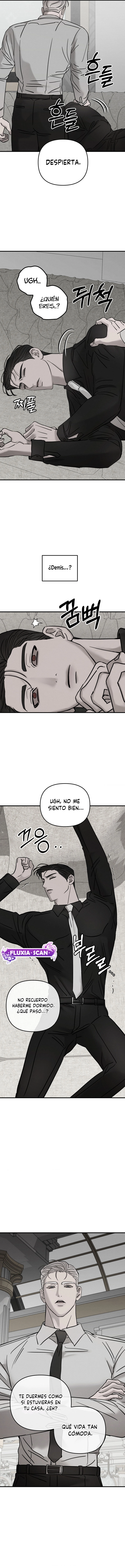 7 Piedad