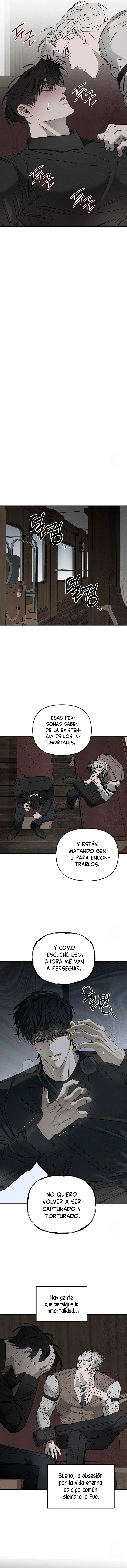 5 Piedad