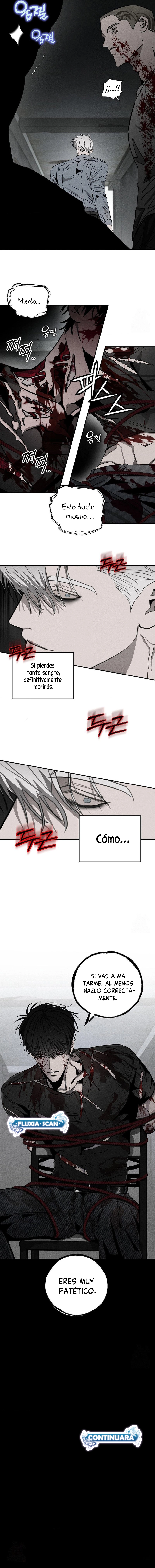 8 Piedad