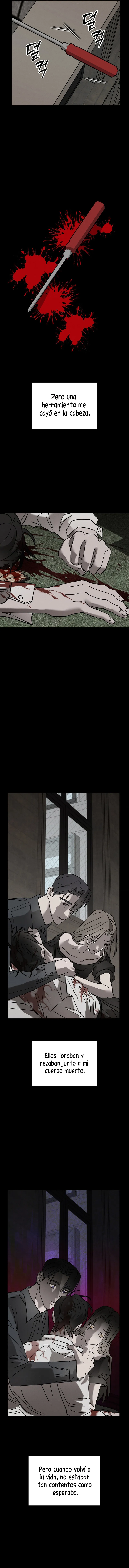 8 Piedad