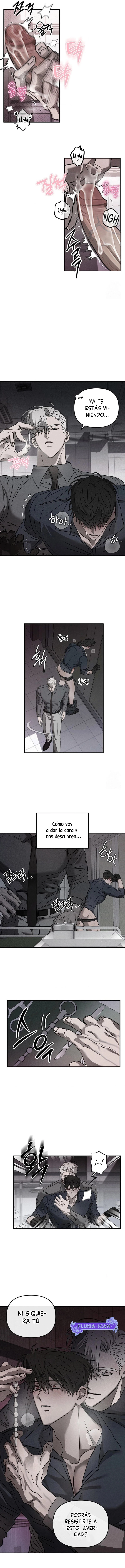 4 Piedad