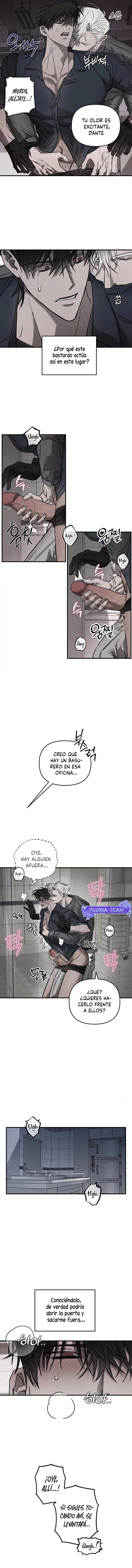 3 Piedad