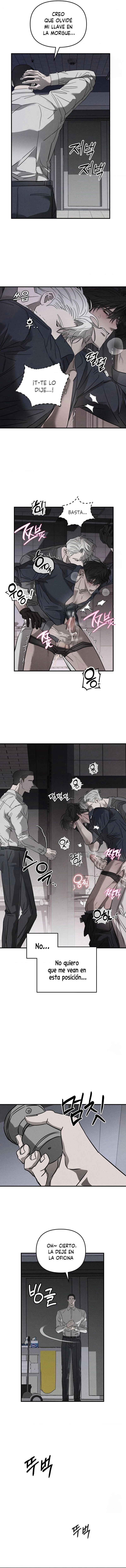 7 Piedad