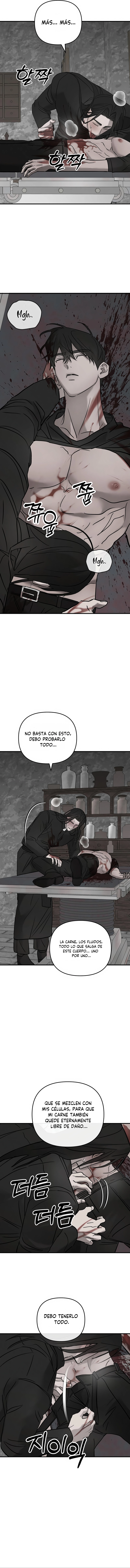 11 Piedad