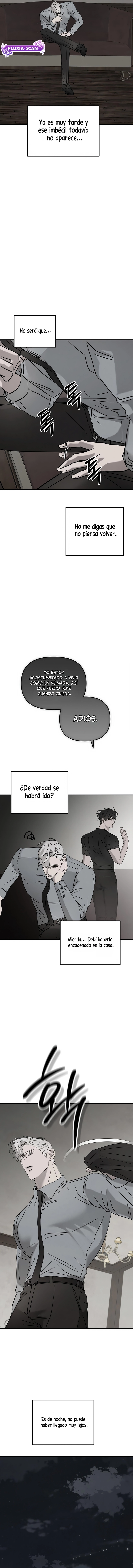 6 Piedad