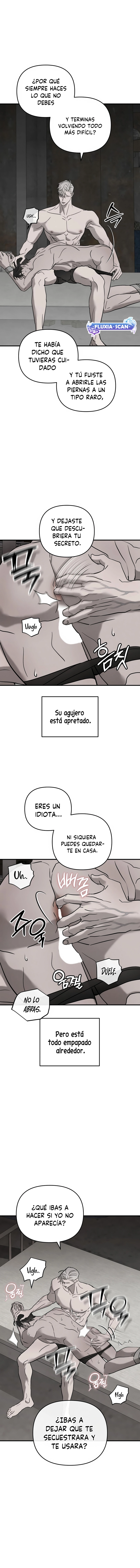 6 Piedad