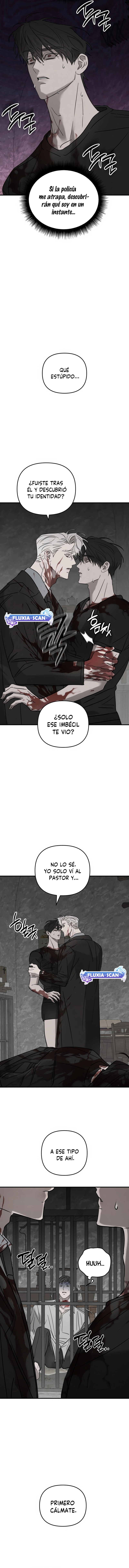 1 Piedad