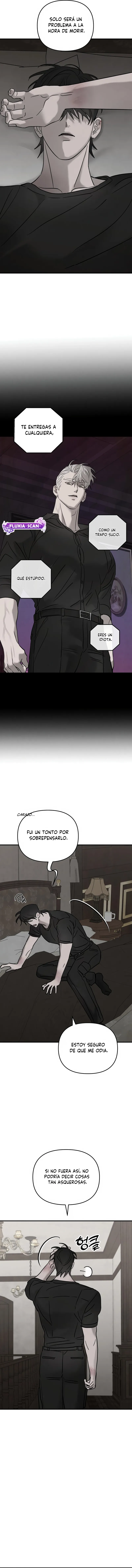8 Piedad
