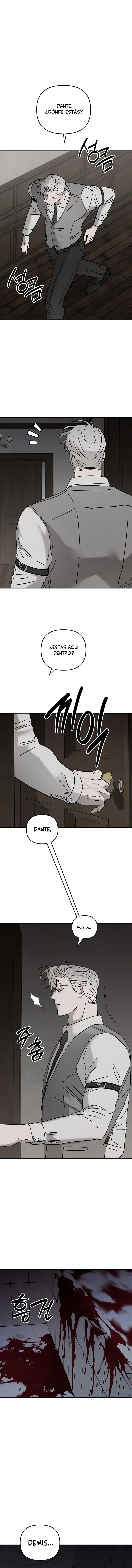 11 Piedad