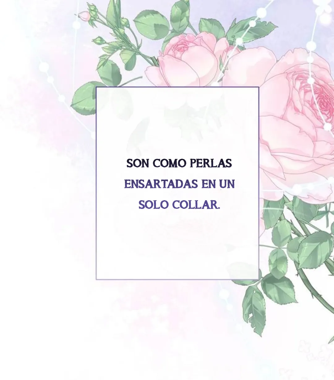25 Príncipe problemático