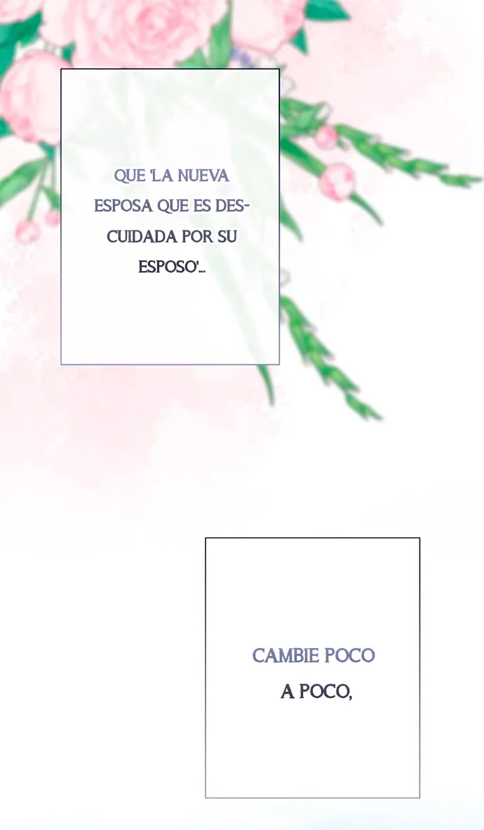 71 Príncipe problemático