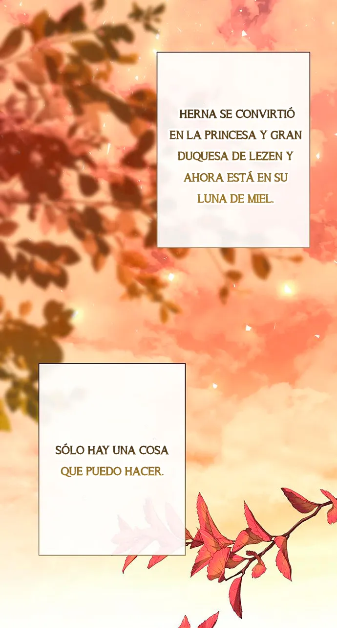 35 Príncipe problemático
