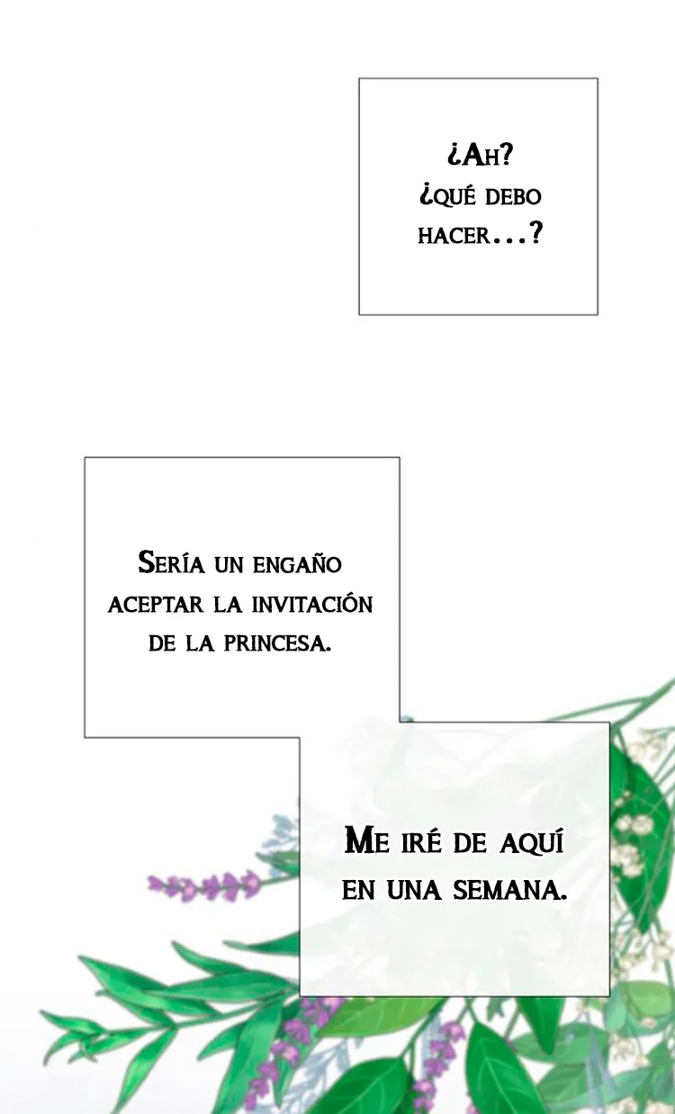 51 Príncipe problemático