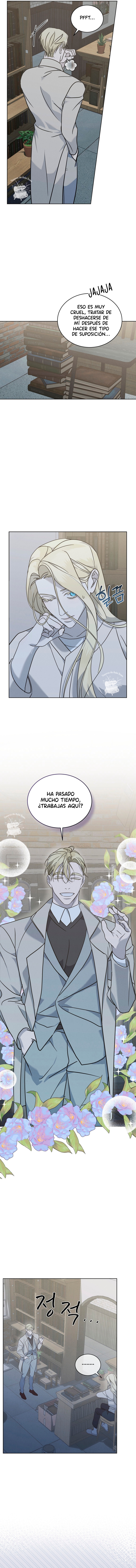 6 La Reina de la Nieve