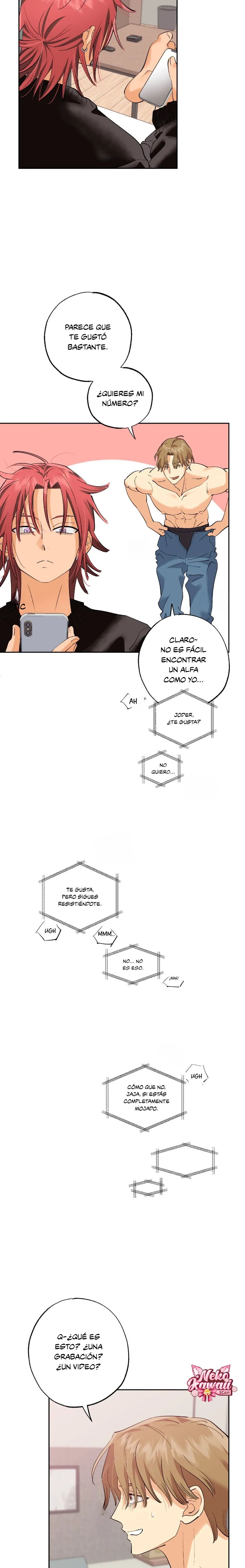 4 OXO