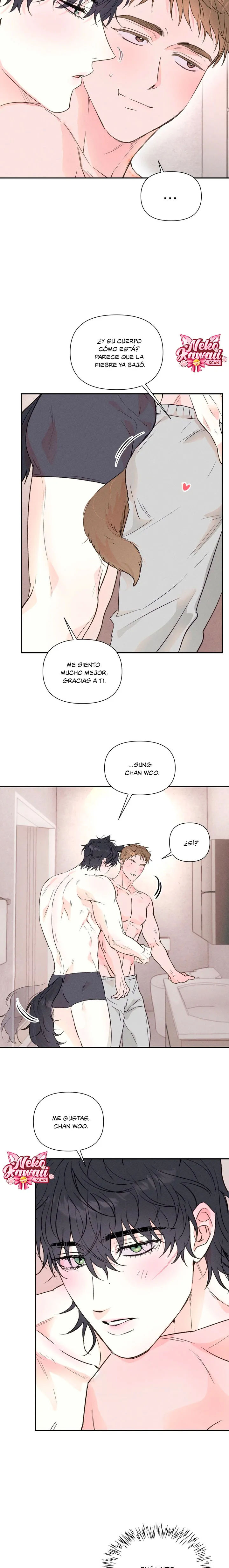 12 En la linea del arrepentimiento