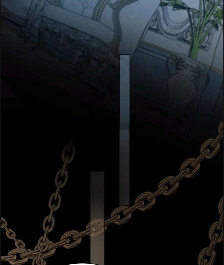 25 El príncipe y la pantera negra