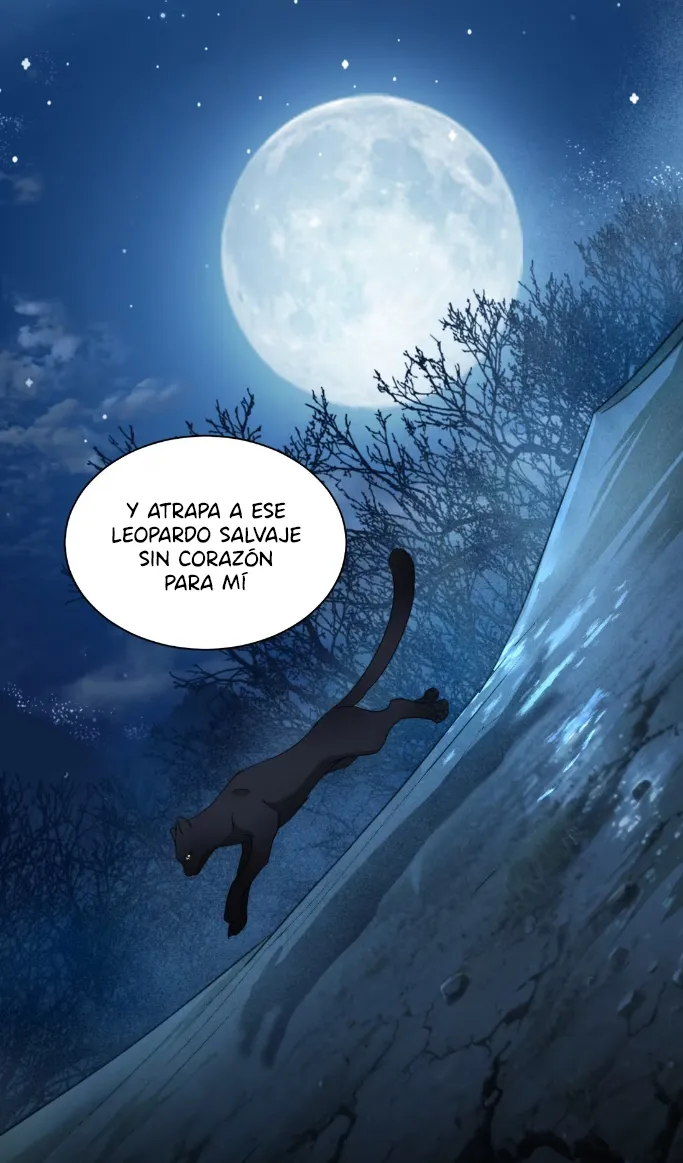 13 El príncipe y la pantera negra