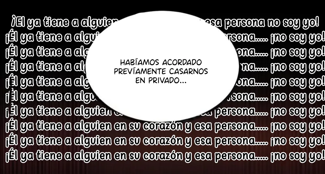 17 El príncipe y la pantera negra