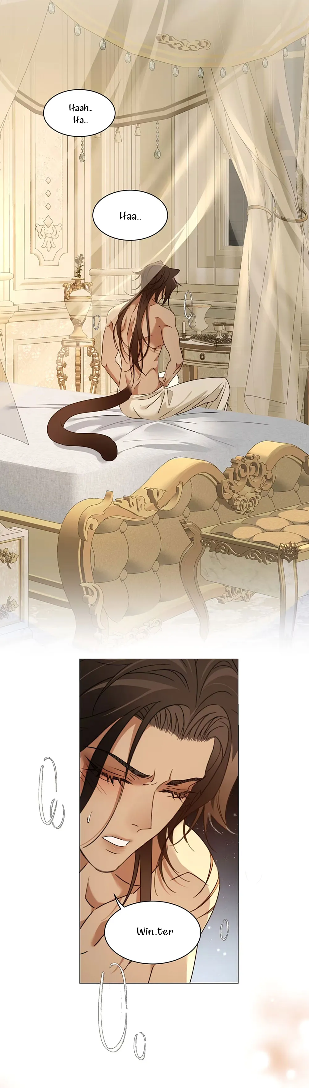 6 El príncipe y la pantera negra